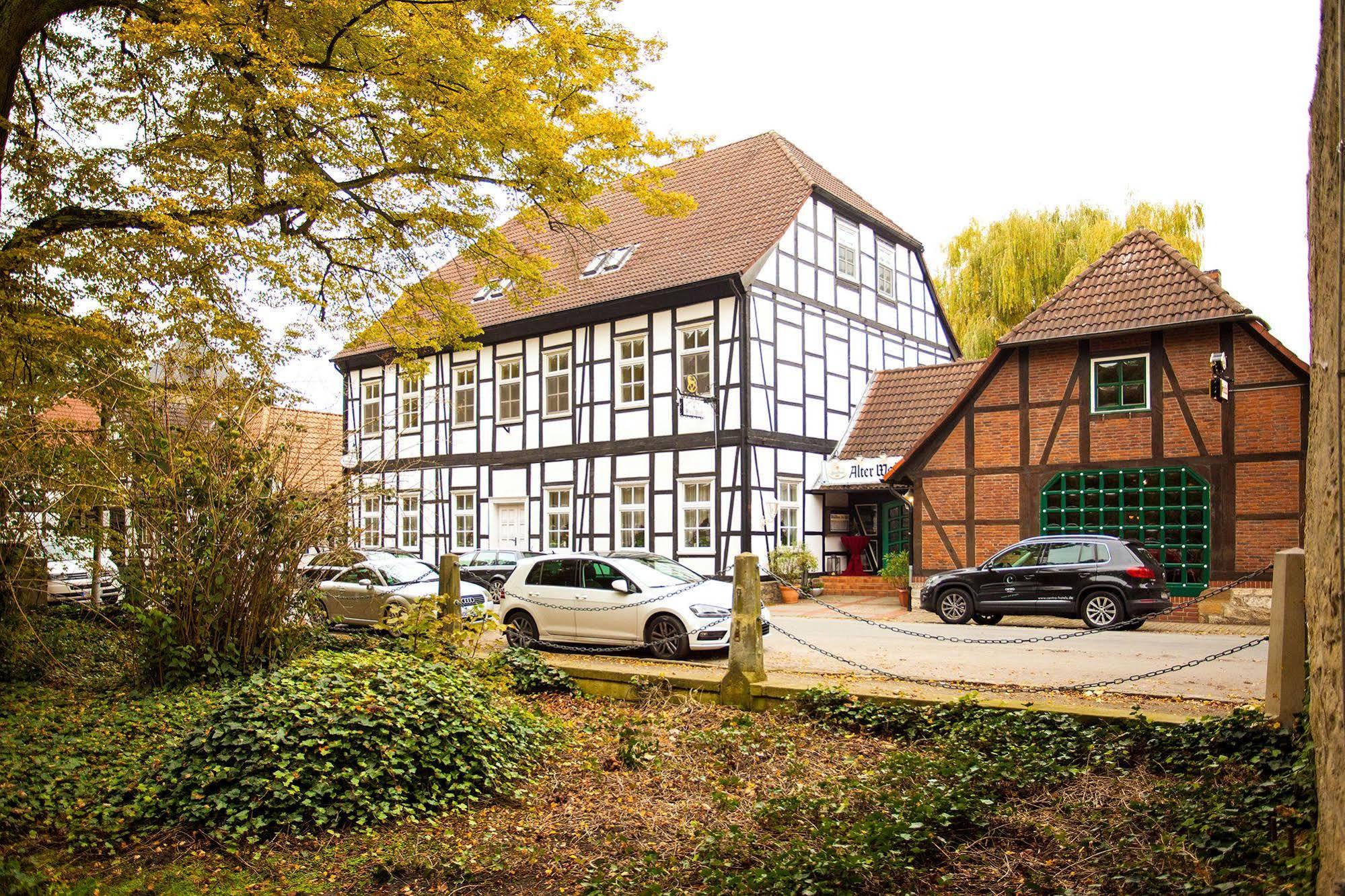 Hotel Alter Wolf Wolfsburg Esterno foto